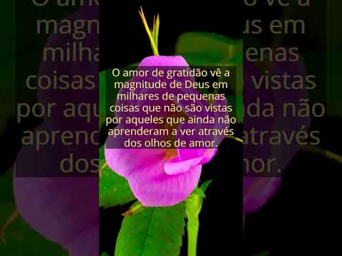 CD 0085   O AMOR DE GRATIDÃO A DEUS