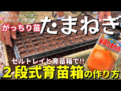 園芸 ロカンボレ玉ねぎ、カタウィッサ玉ねぎ