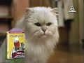 Opening To Stuart Little VHS 2000 Australia