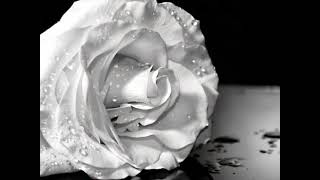 Gigi D&#39;Alessio - La prima stella