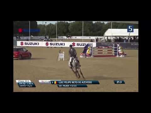 Fape Palmer , gelding 2015 by MyLord Carthago x Darco