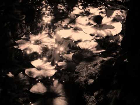 Čedo Antolić - Jutro