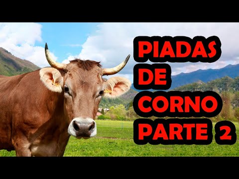 PIADAS DE CORNO PARTE 2 - HUMORISTA THIAGO DIAS