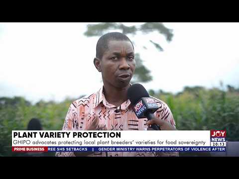 GHIPO advocates protecting local plant breeders' varieties for food sovereignty | Prime Business