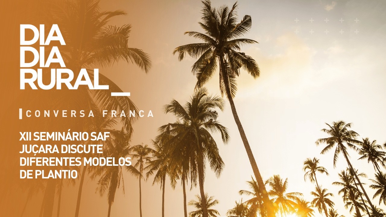 XII Seminário SAF Juçara discute diferentes modelos de plantio