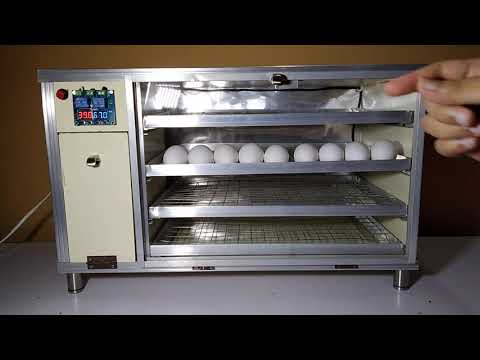 120 watt Incubator electric cost calculation in...