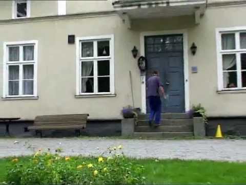 Salcia energetica 2/3