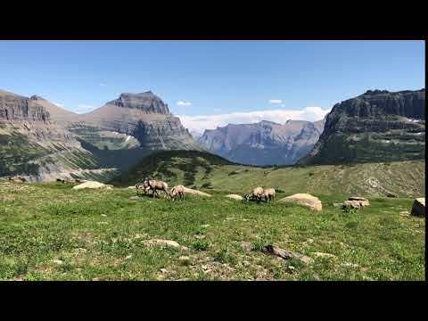 On top of Logan Pass, just up from Rising Sun.