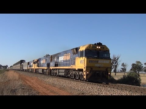 Pacific National 5PM5 nearing Korunye