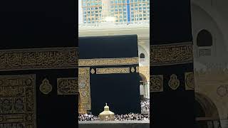 Download lagu 😰🙌#Allah #madina #makkah #foryou #islamicvideo #islamic #islam #trending #shortsvideo #viralvideo mp3