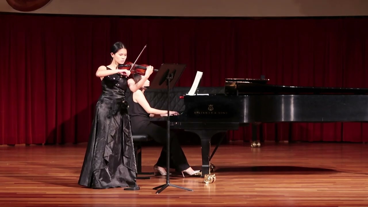 Promotional video thumbnail 2 for Violin and Piano Musician