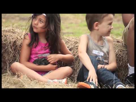 Ambler Farm: Once Upon a Farm