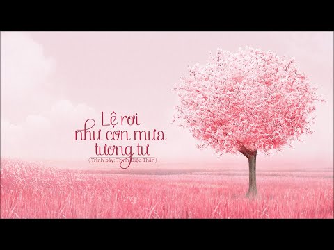 [Vietsub] Lệ rơi như cơn mưa tương tư (泪如相思雨落下) - Trịnh Diệc Thần