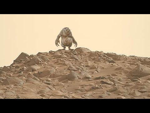 Mars Perseverance Rover | New Video Footage of Mars - Sol 1099 | Mars 4k Video | Mars In 4k