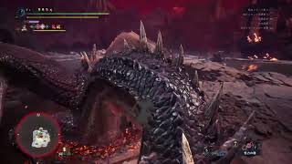 ミラボレアス 操虫棍 ソロ 9'57"23