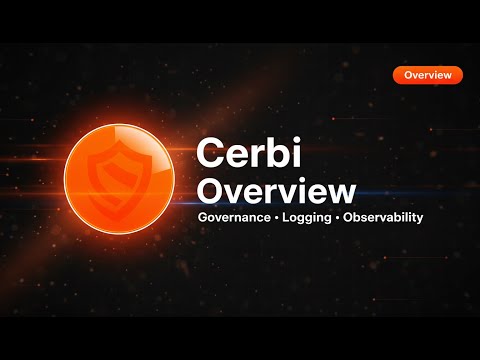 Cerbi: Brief Overview