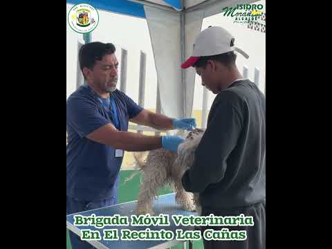 𝑩𝑹𝑰𝑮𝑨𝑫𝑨  𝑽𝑬𝑻𝑬𝑹𝑰𝑵𝑨𝑹𝑰𝑨. Trabajamos en vinculación con la Prefectura del Guayas.