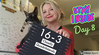 Contingency Plan Day 8, Topic 16: Lesson 3 Classify Quadrilaterals