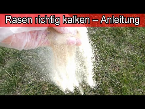 Rasen richtig kalken – Anleitung / Rasenpflege im Frühjahr gegen Moos – Zeitpunkt Wann Menge Wieviel