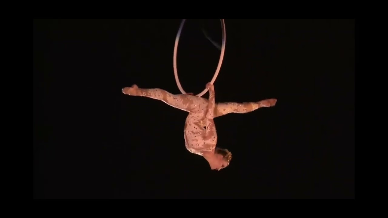 Promotional video thumbnail 3 for Aerial Adventures