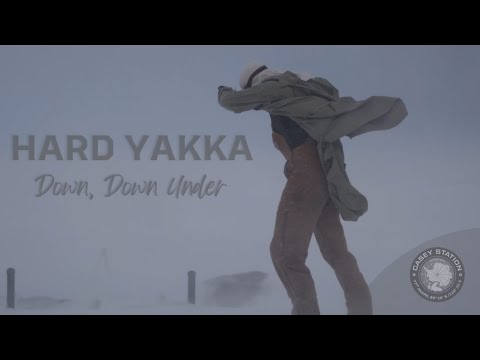 Hard Yakka: Down, Down Under (WIFFA 2024 WINNER)