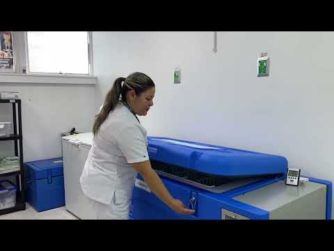 Miniatura del video