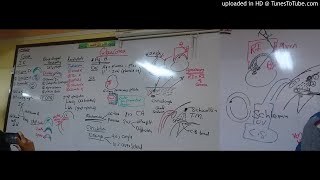 15) Dr. Wael Salah introduction of glaucoma