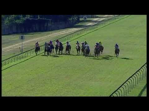 20190618 Scottsville Express clip Race 1 won by COCKNEY PRIDE