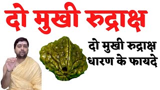 दो मुखी रुद्राक्ष | दो मुखी रुद्राक्ष धारण के लाभ | Do Mukhi Rudraksh | Kisa hota hai   Fayde |