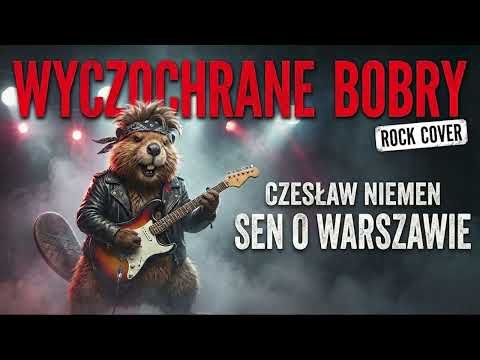 Sen o Warszawie - Czesław Niemen (Wyczochrane Bobry Rock Cover)