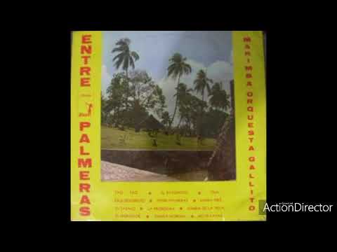 El Tao Tao - Marimba Orquesta Gallito “La Soberana” Álbum: Entre Palmeras