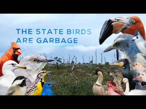 Here's Why State Birds Are 'Garbage'