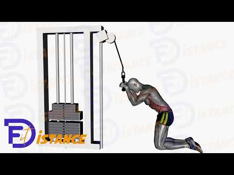 Crunchs à la poulie haute - Exercice Crunchs à la poulie haute en vidéo Crunchs à la poulie haute - Exercice Crunchs à la poulie haute en vidéo