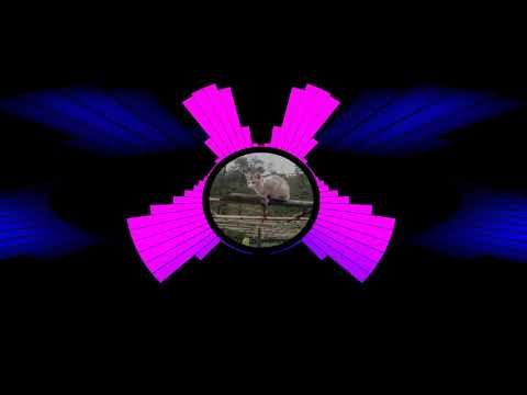 Np heaven x askom x auetic breezy