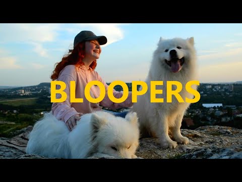 Каково снимать клип с собаками? | PUPPY BLOOPERS