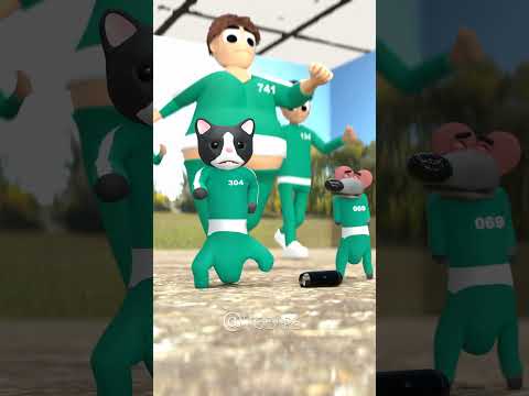 Dancing Rat Vs Dancing Cat