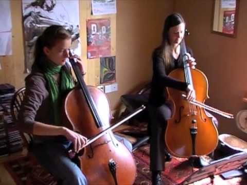 Irish Cello Workshops with Ilse de Ziah