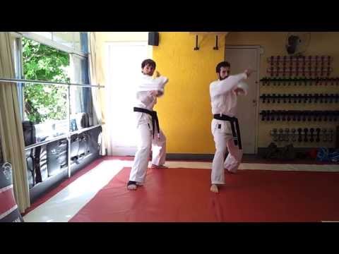 Base Fudodachi - shuto uke, haito uchi e shuto uchi