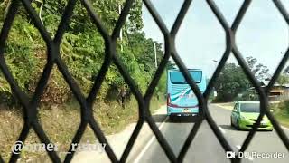 preview picture of video 'Bus Transport TERBARU!! Feat Bus ANS terbaru!!'