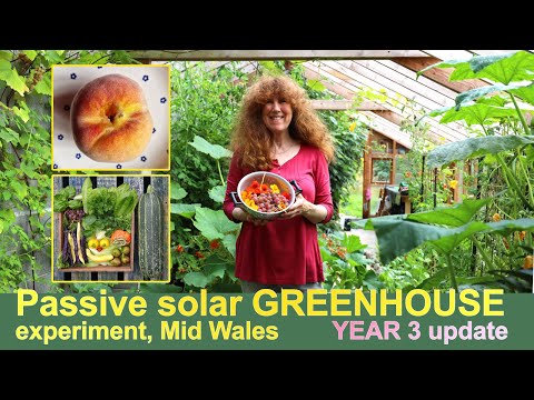 Passive solar GREENHOUSE update | YEAR 3