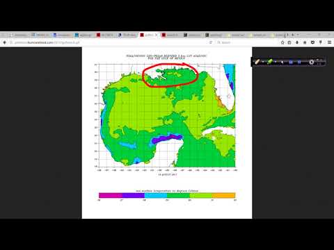Aug 14 Hurricane Outlook and Discussion: Tropical Storm Gert and 91L