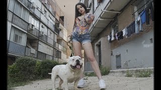 SHAINNY - KILLA LADYS