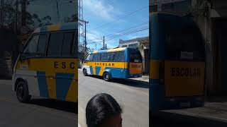 Microônibus e Ônibus Escolar da Escola Maria Elisa Meu Sossego e Chácara Méa e Van do Coopersuzan 05