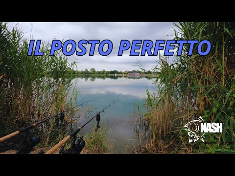 THE PERFECT PLACE - carp fishing in free quarry