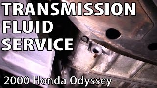 Odyssey Transmission Fluid Change DIY