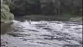 preview picture of video 'Clarion River Yakpacking Trip 2005'