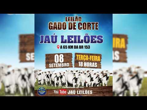 LEILÃO GADO DE CORTE  - JAU LEILÕES  - JAU DO TOCANTINS  - 08 / 09 / 2026