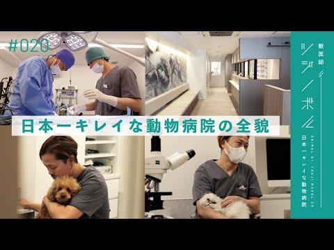 首都サンパウロで最高の動物病院