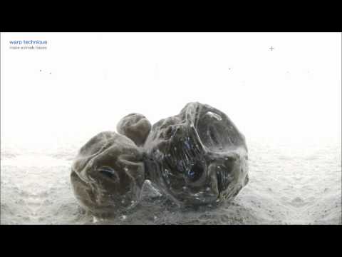 Warp Technique - Make Animals Happy