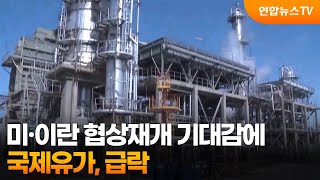 국제유가, 미·이란 협상재개 기대감에 급락 / 연합뉴스TV (YonhapnewsTV)